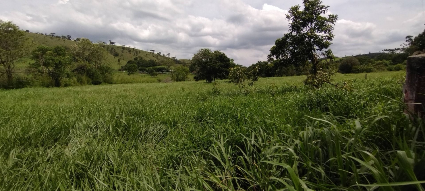 Fazenda, 300 m² - Foto 33