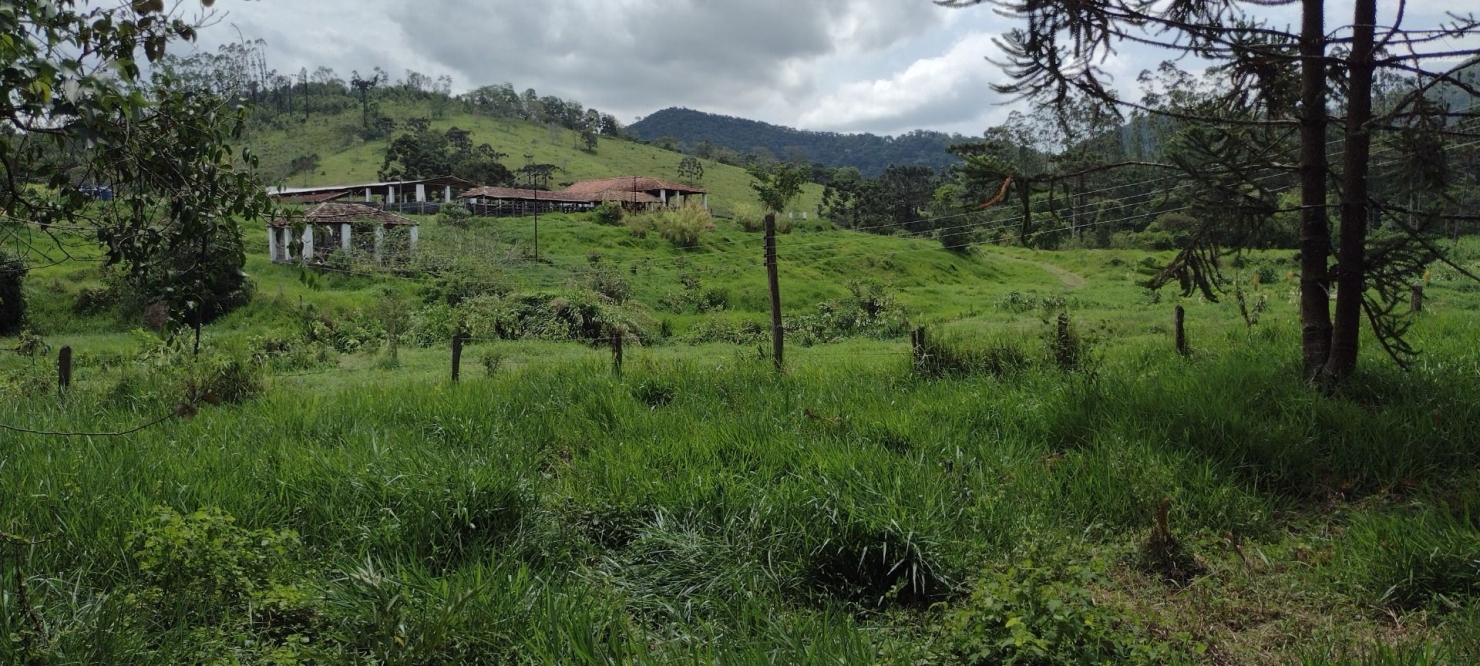 Fazenda, 300 m² - Foto 36