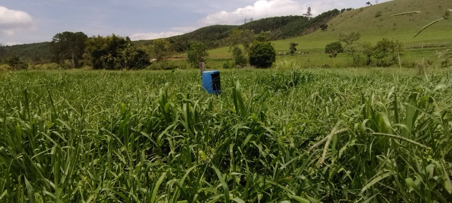 Fazenda, 300 m² - Foto 38