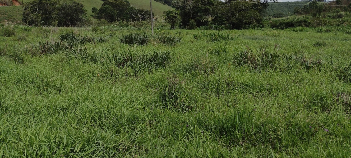 Fazenda, 300 m² - Foto 40