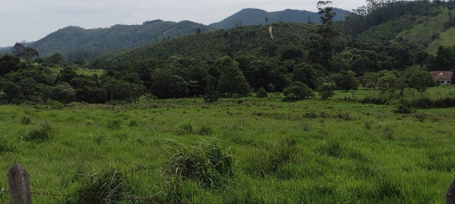 Fazenda, 300 m² - Foto 43