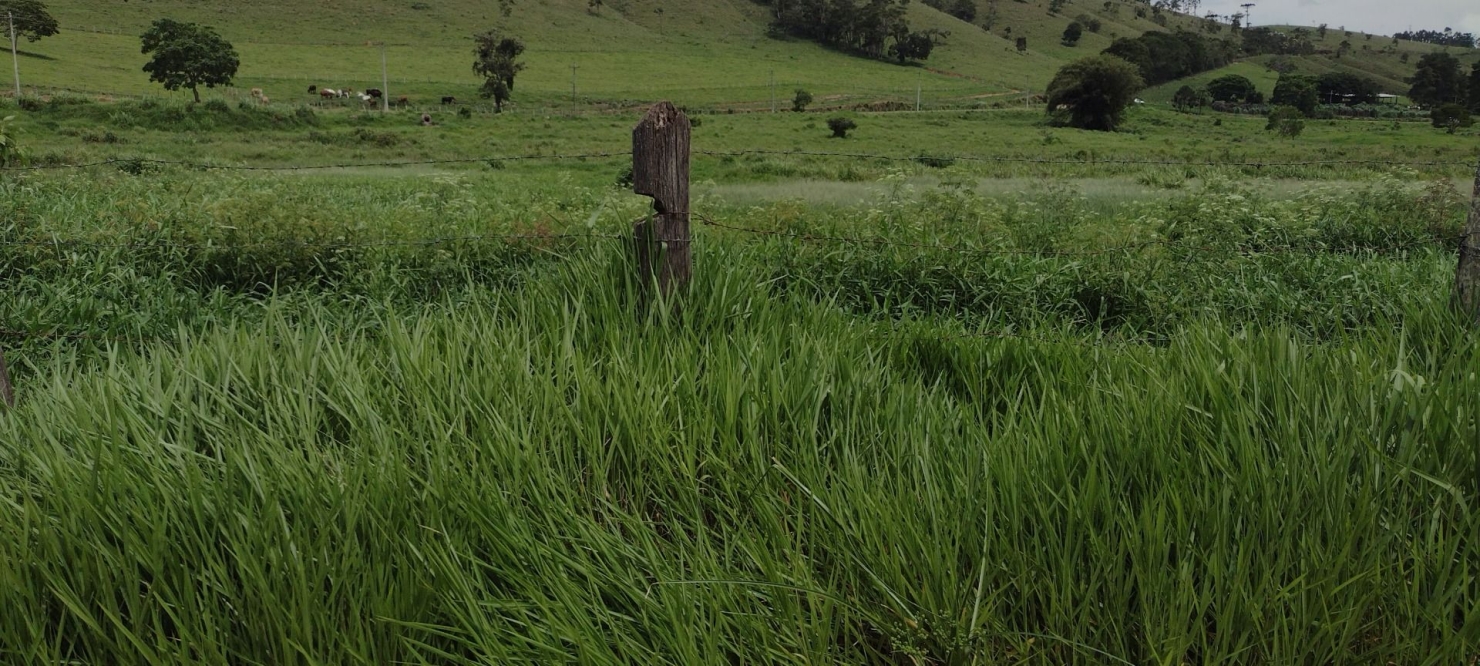 Fazenda, 300 m² - Foto 45