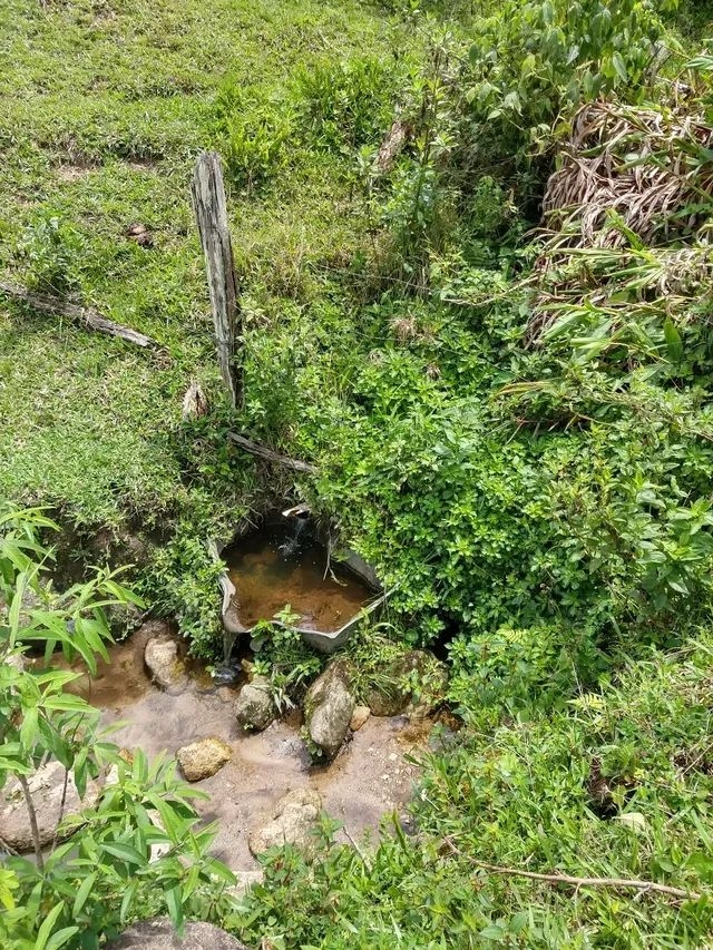 Sítio, 1 quarto, 100 m² - Foto 1