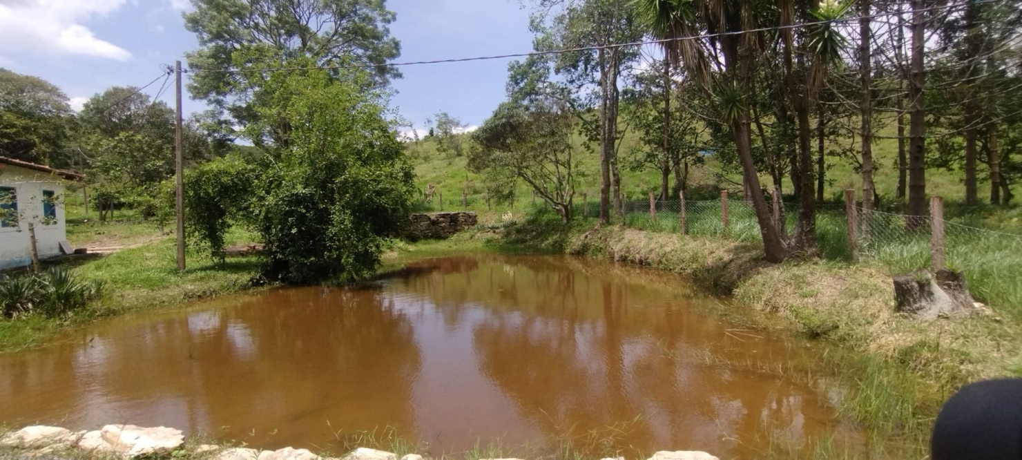 Fazenda, 114 hectares - Foto 8