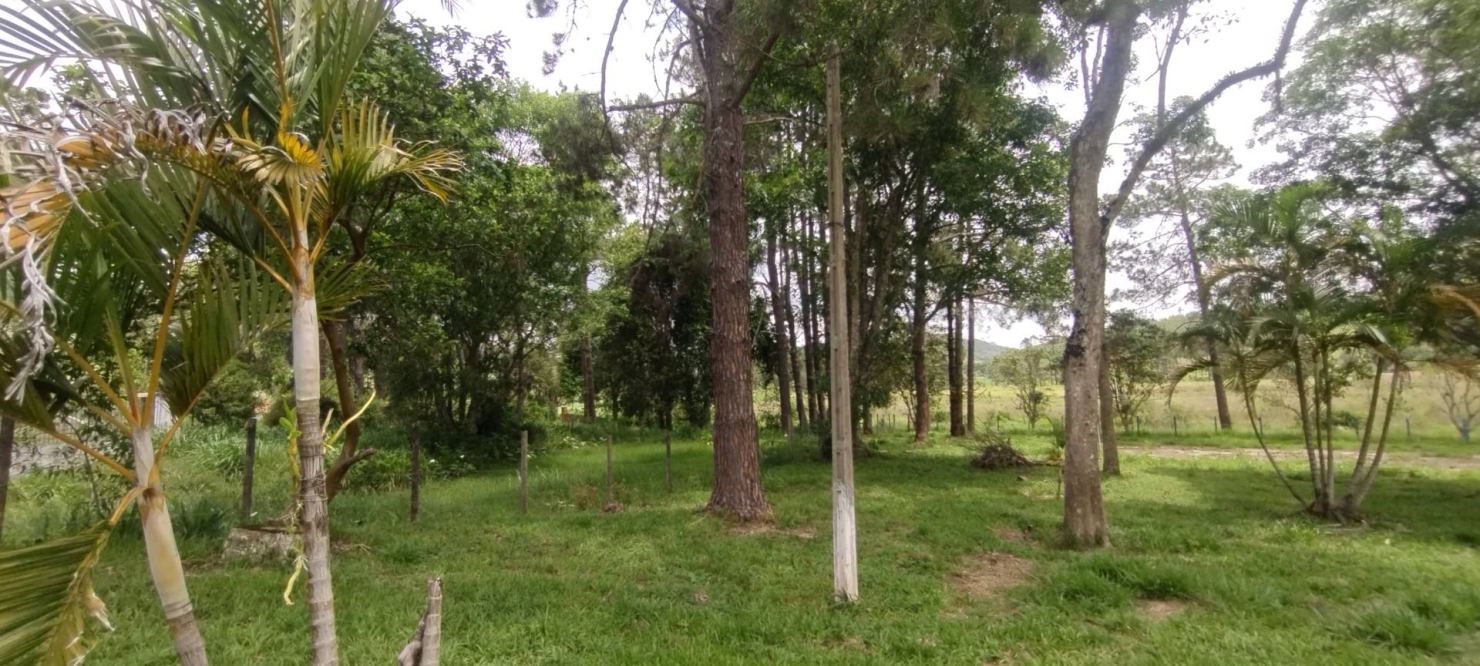 Fazenda, 114 hectares - Foto 9