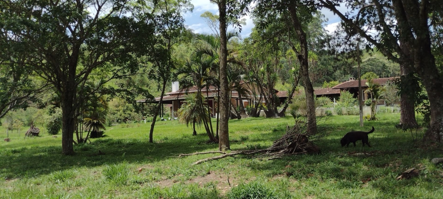 Fazenda, 114 hectares - Foto 11