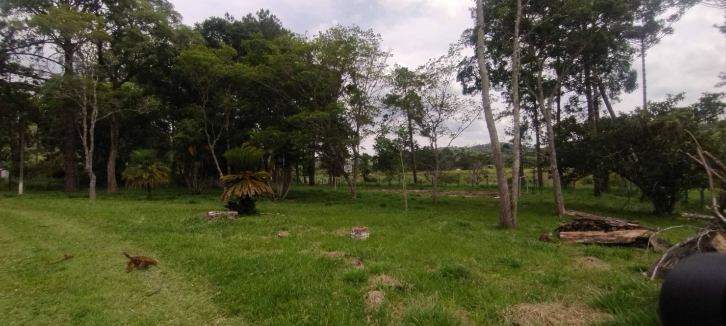 Fazenda, 114 hectares - Foto 10