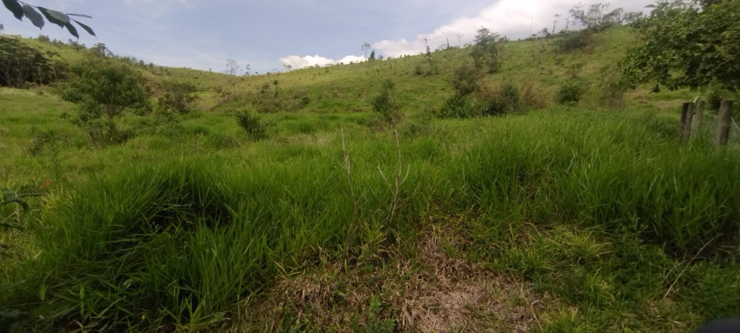 Fazenda, 114 hectares - Foto 12