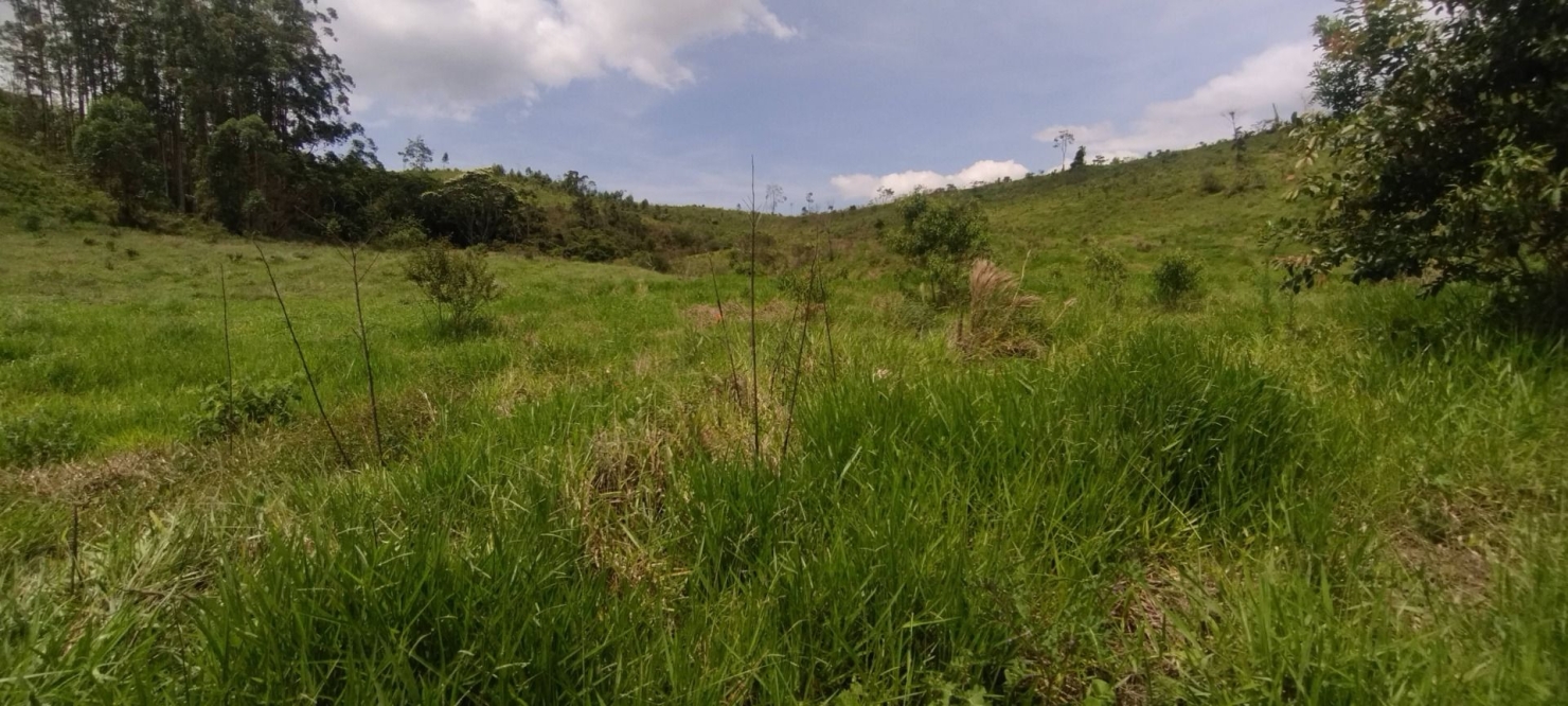 Fazenda, 114 hectares - Foto 15