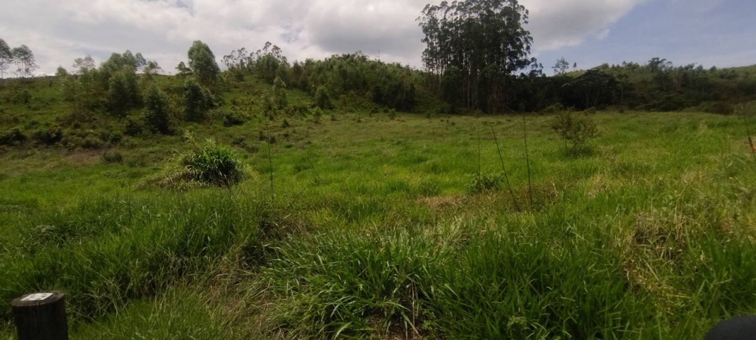 Fazenda, 114 hectares - Foto 20