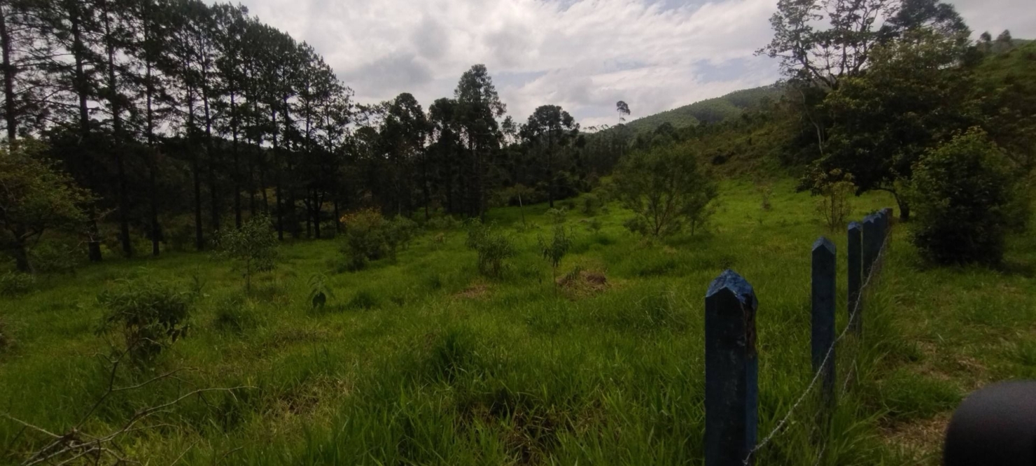 Fazenda, 114 hectares - Foto 23