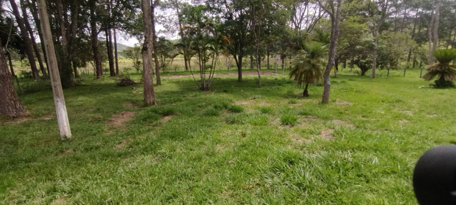 Fazenda, 114 hectares - Foto 26