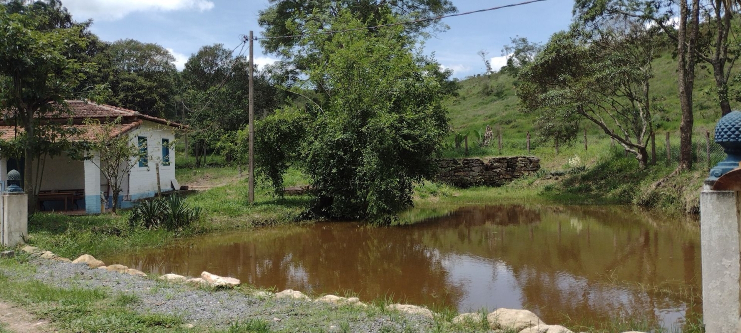 Fazenda, 114 hectares - Foto 29