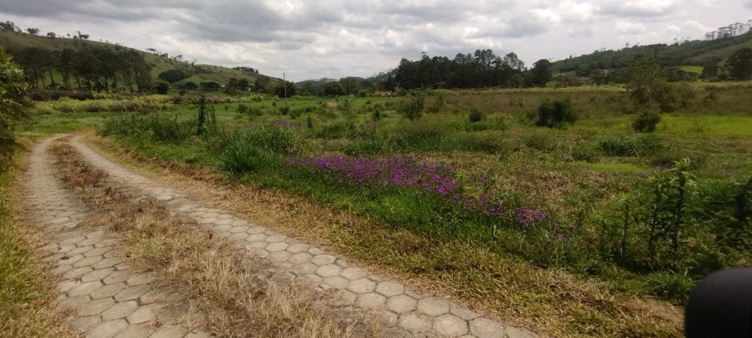 Fazenda, 114 hectares - Foto 33
