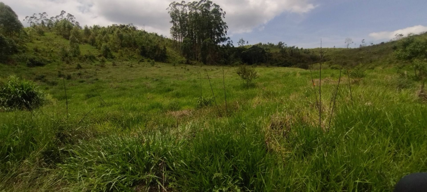 Fazenda, 114 hectares - Foto 35