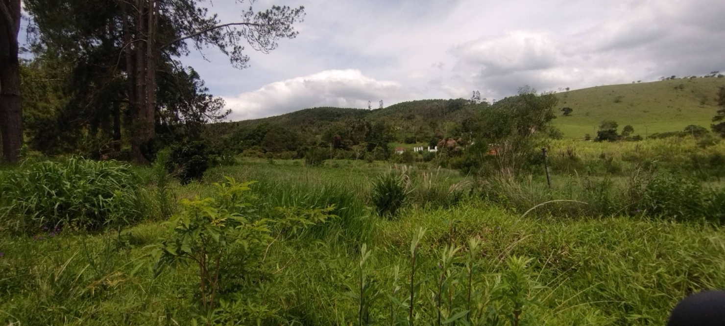 Fazenda, 114 hectares - Foto 40