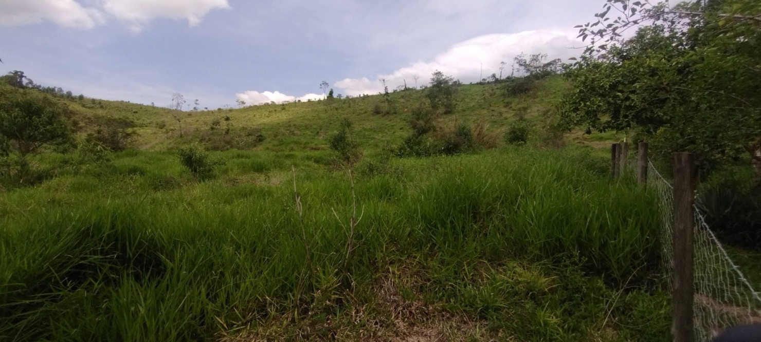 Fazenda, 114 hectares - Foto 41