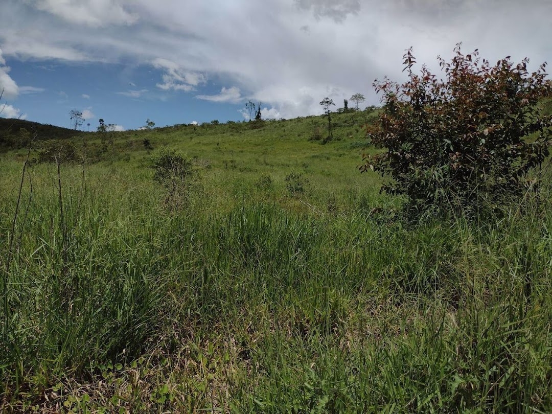 Fazenda em Guaratinguetá/São Paulo — Ref TRIBGM — Imagem 17