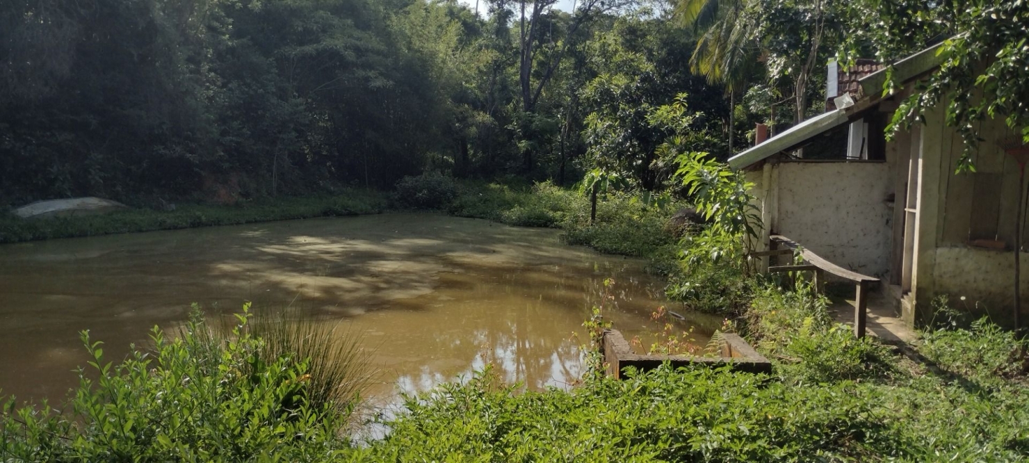 Sítio, 1 quarto, 100 m² - Foto 2