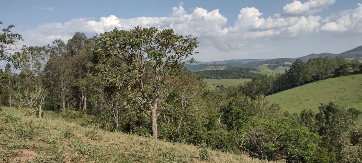 Chácara em São Luiz do Paraitinga/São Paulo — Ref XNQ77S — Imagem 7