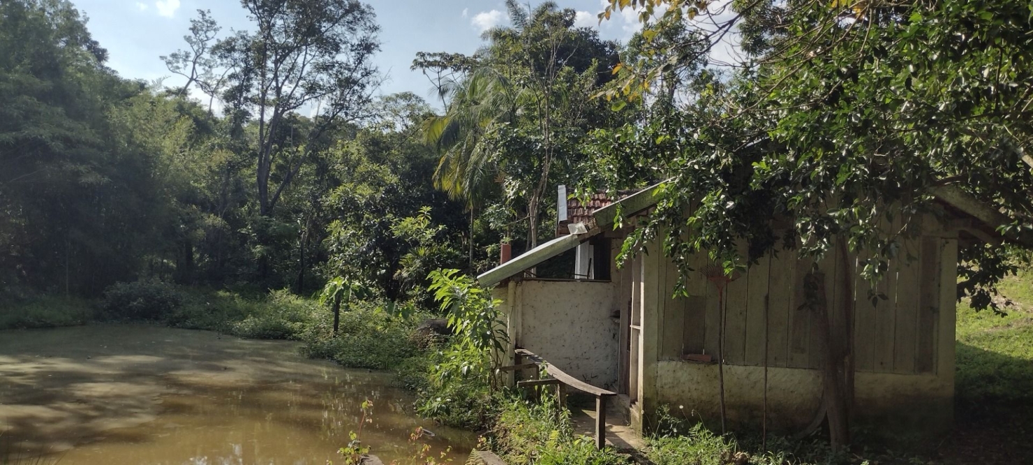 Chácara em São Luiz do Paraitinga/São Paulo — Ref XNQ77S — Imagem 4