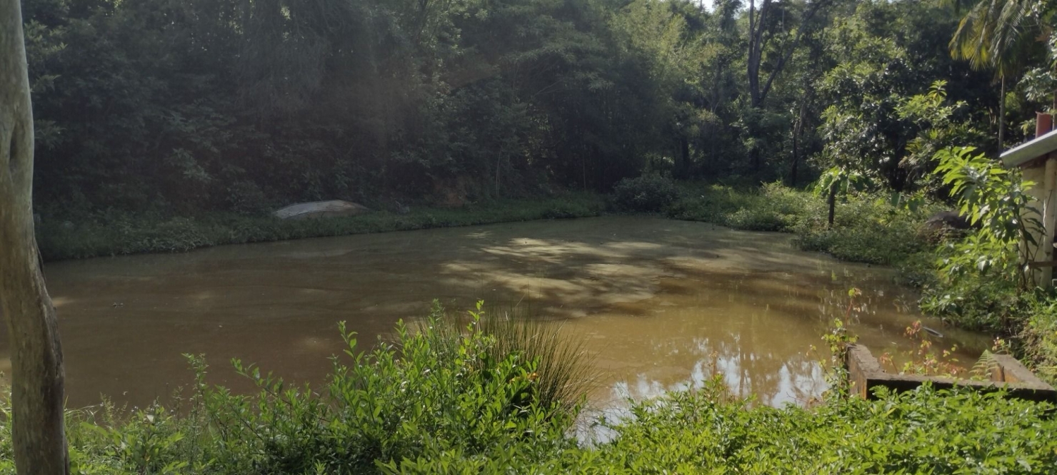 Chácara em São Luiz do Paraitinga/São Paulo — Ref XNQ77S — Imagem 2