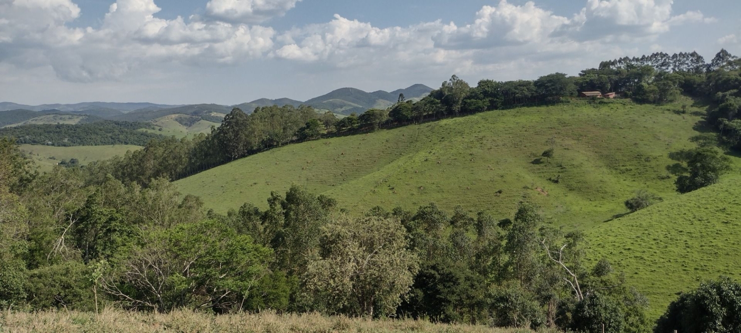 Sítio, 1 quarto, 100 m² - Foto 14