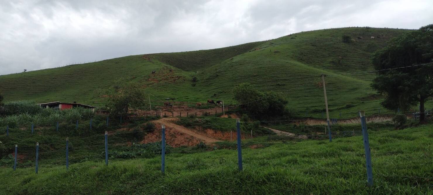 Sítio, 3 quartos, 100 m² - Foto 3