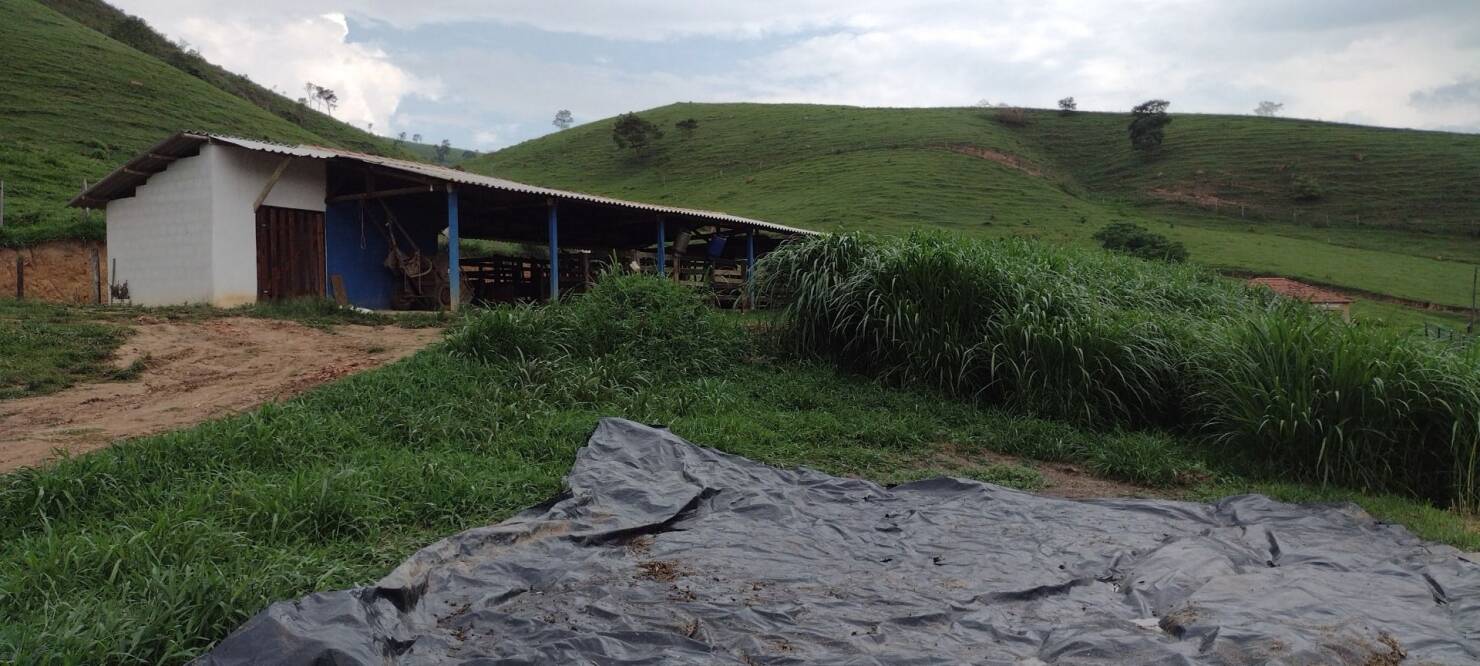 Sítio, 3 quartos, 100 m² - Foto 4