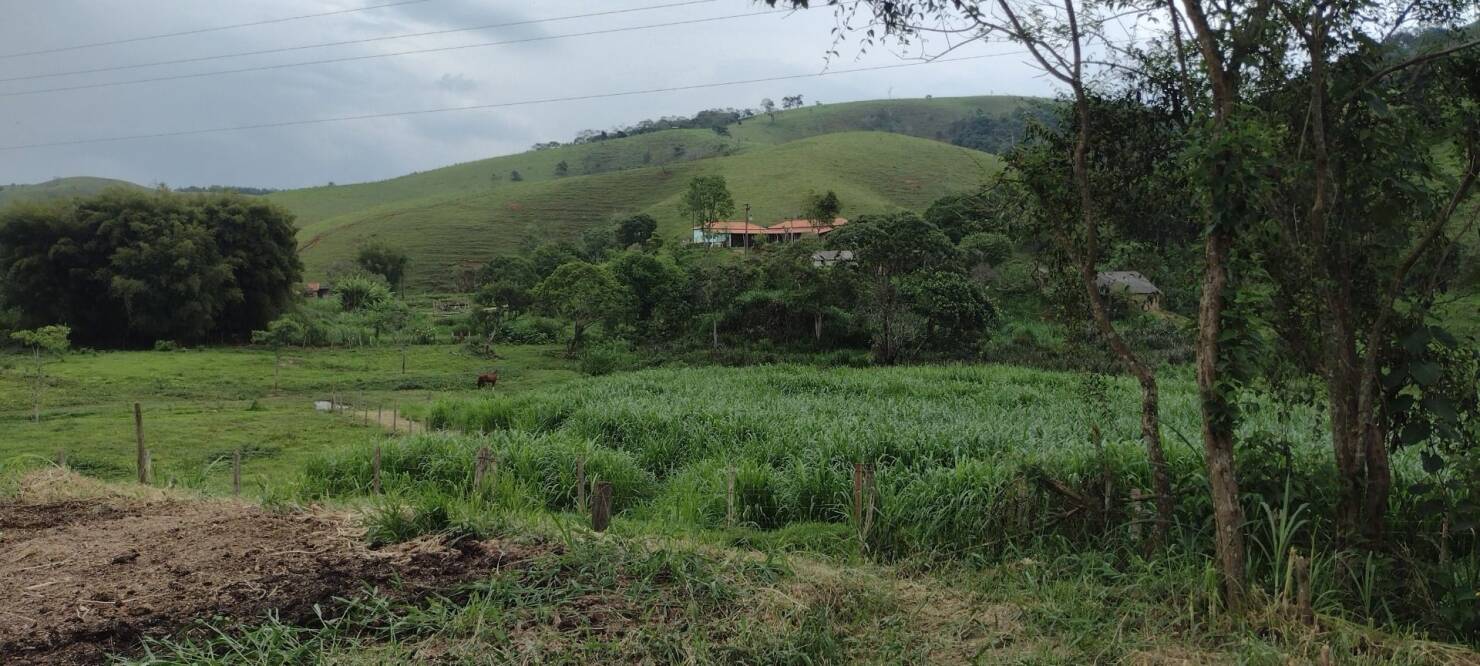 Sítio, 3 quartos, 100 m² - Foto 5