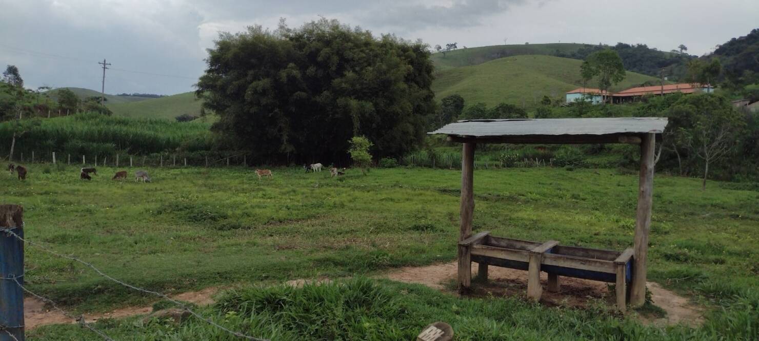 Sítio, 3 quartos, 100 m² - Foto 1