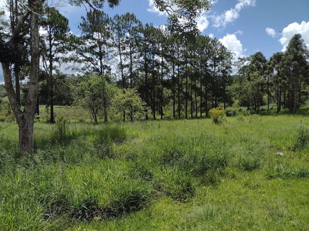 Fazenda em Guaratinguetá/São Paulo — Ref TRIBGM — Imagem 16