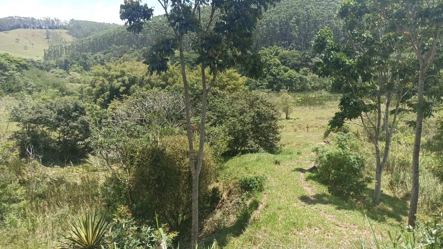 Sítio, 4 quartos, 400 m² - Foto 5