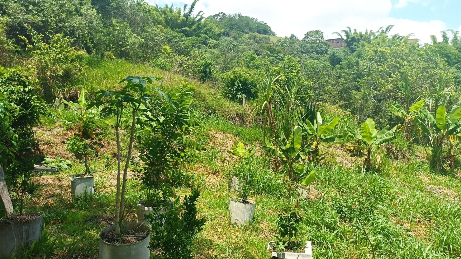 Sítio em Jambeiro/São Paulo — Ref J0P28A — Imagem 9