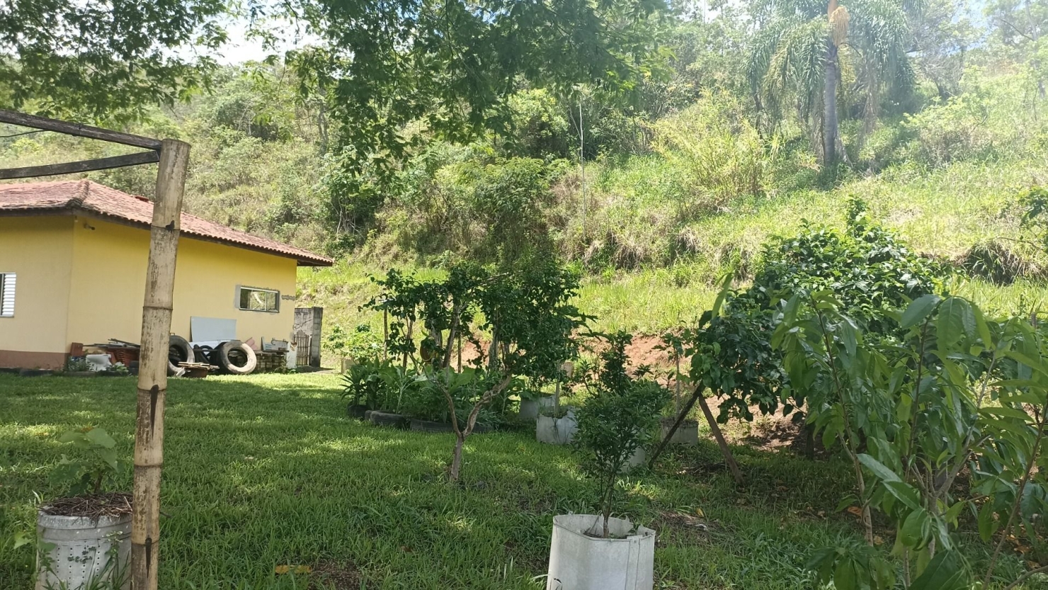 Sítio em Jambeiro/São Paulo — Ref J0P28A — Imagem 10