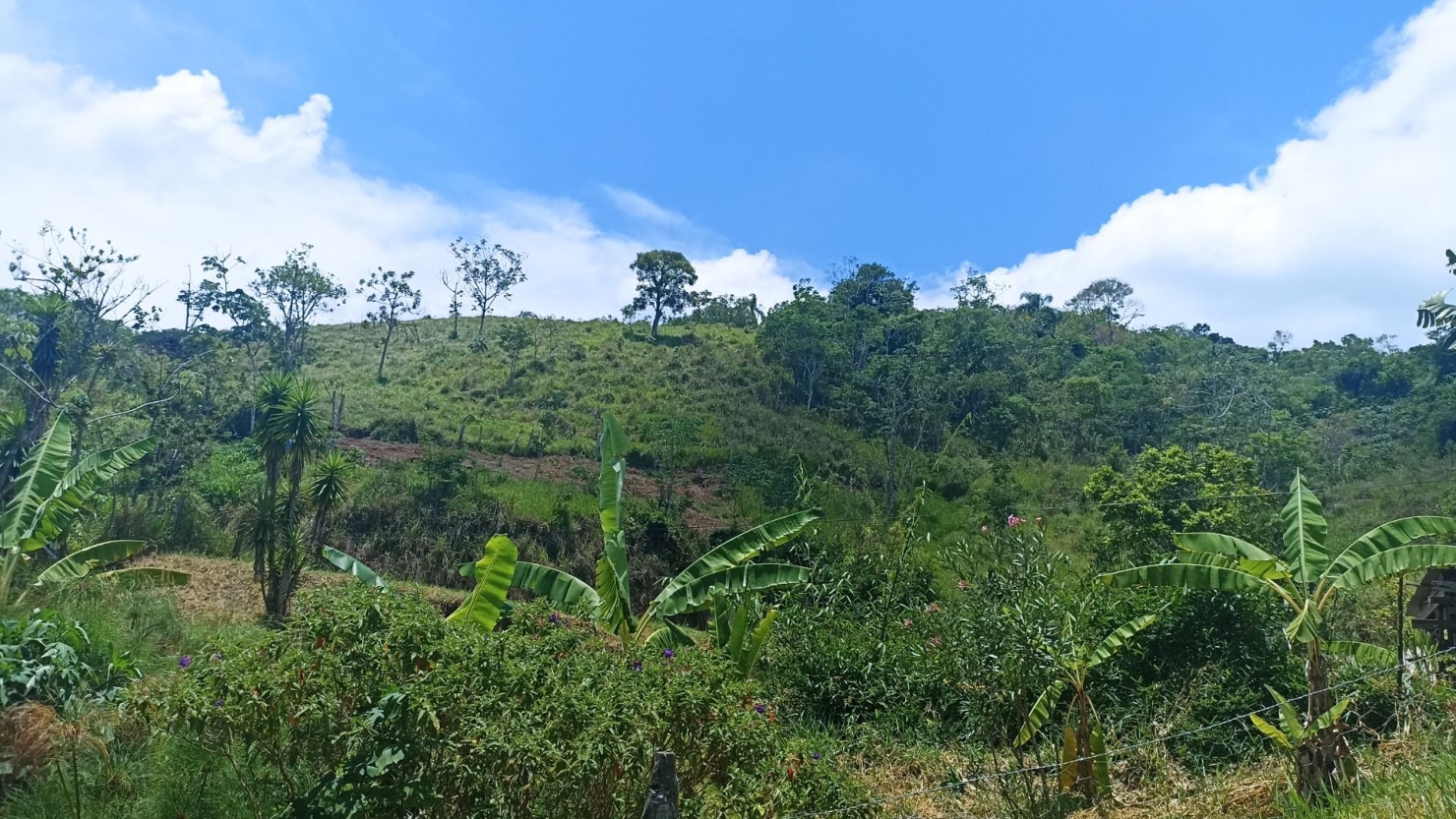Sítio em Jambeiro/São Paulo — Ref J0P28A — Imagem 11