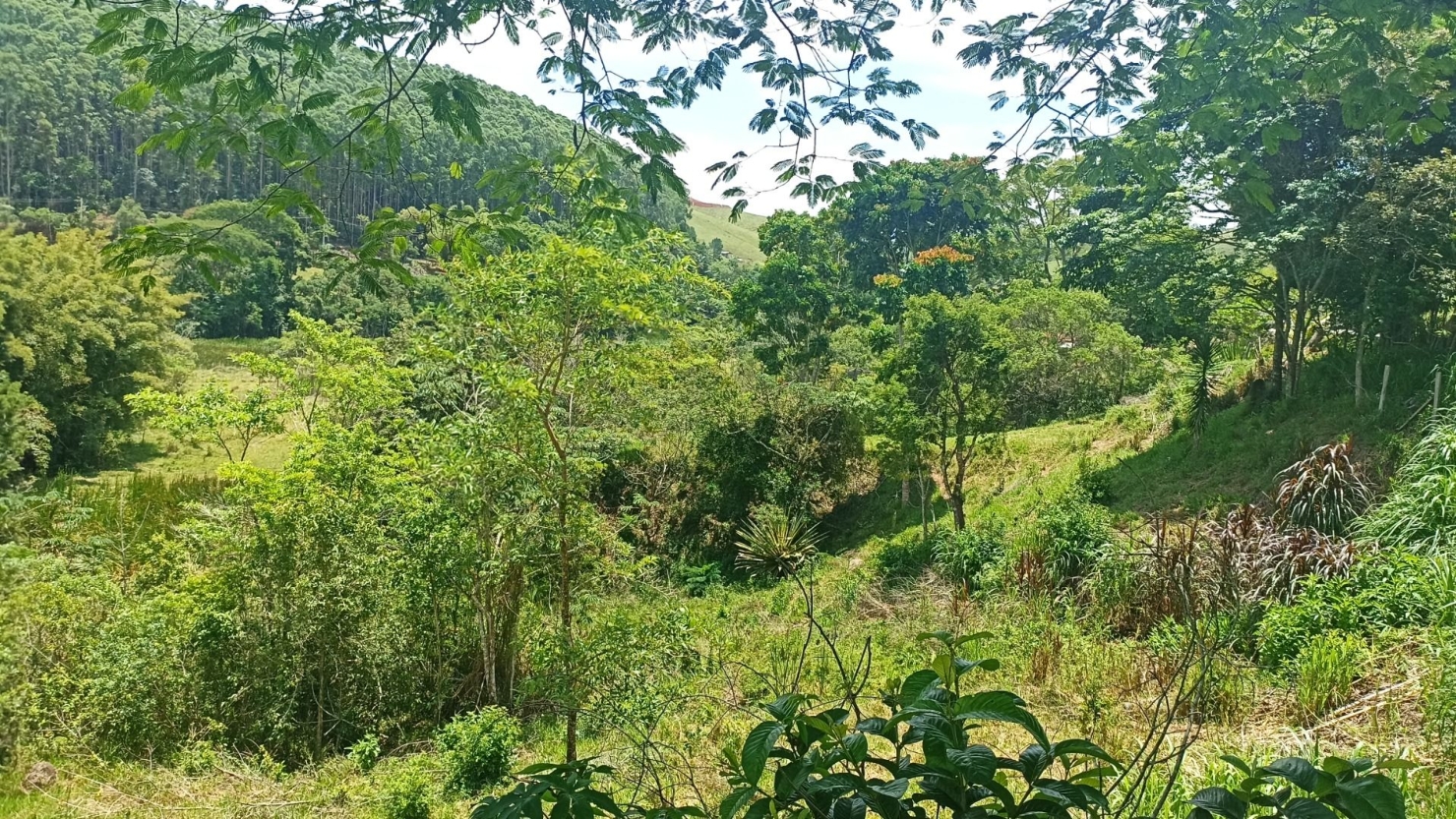Sítio em Jambeiro/São Paulo — Ref J0P28A — Imagem 13