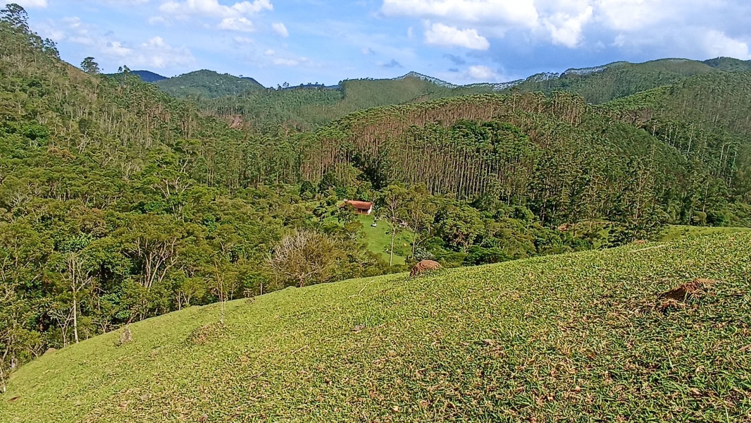 Sítio, 2 quartos, 350 m² - Foto 2