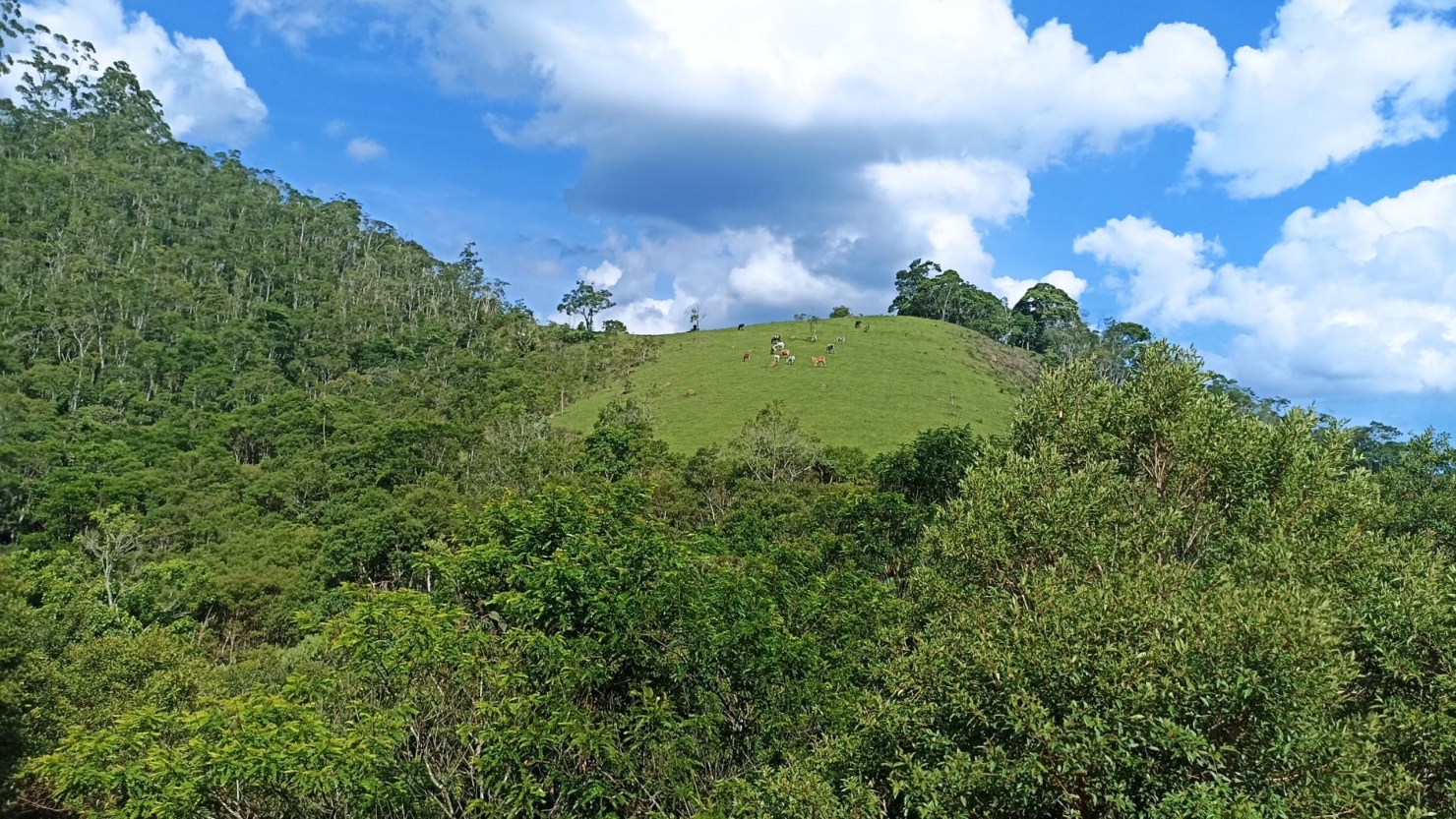 Sítio, 2 quartos, 350 m² - Foto 3