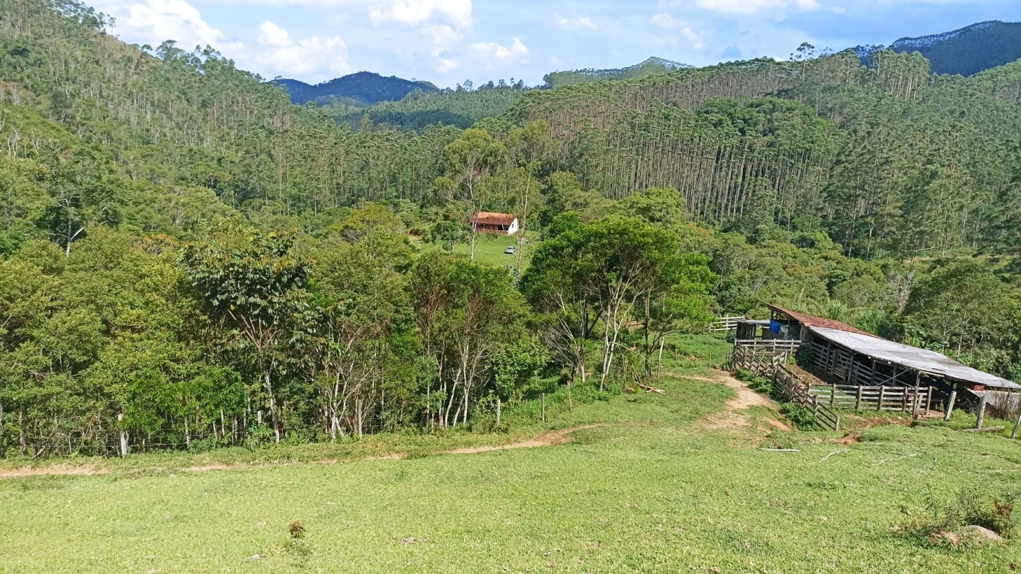 Sítio, 2 quartos, 350 m² - Foto 6