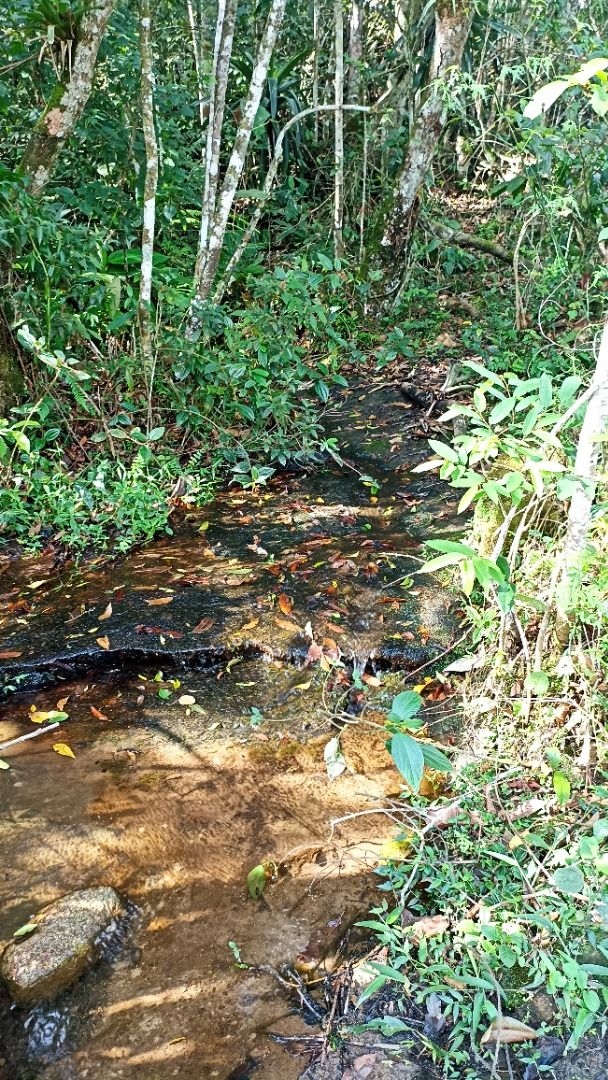 Sítio, 2 quartos, 350 m² - Foto 9