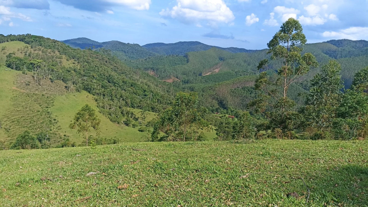 Sítio, 2 quartos, 350 m² - Foto 10