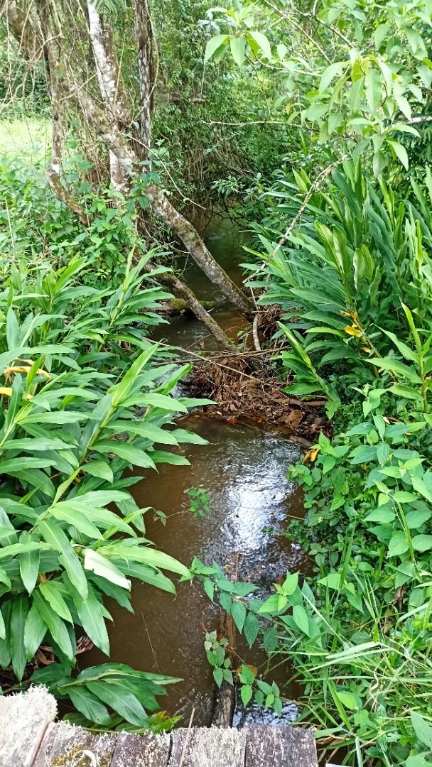 Sítio, 2 quartos, 350 m² - Foto 12