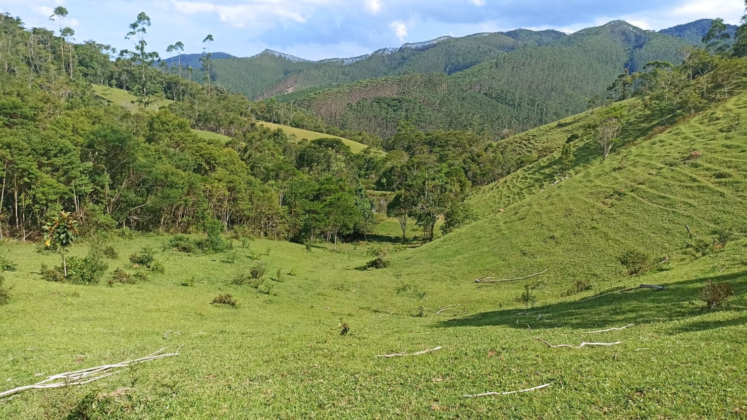 Sítio, 2 quartos, 350 m² - Foto 14