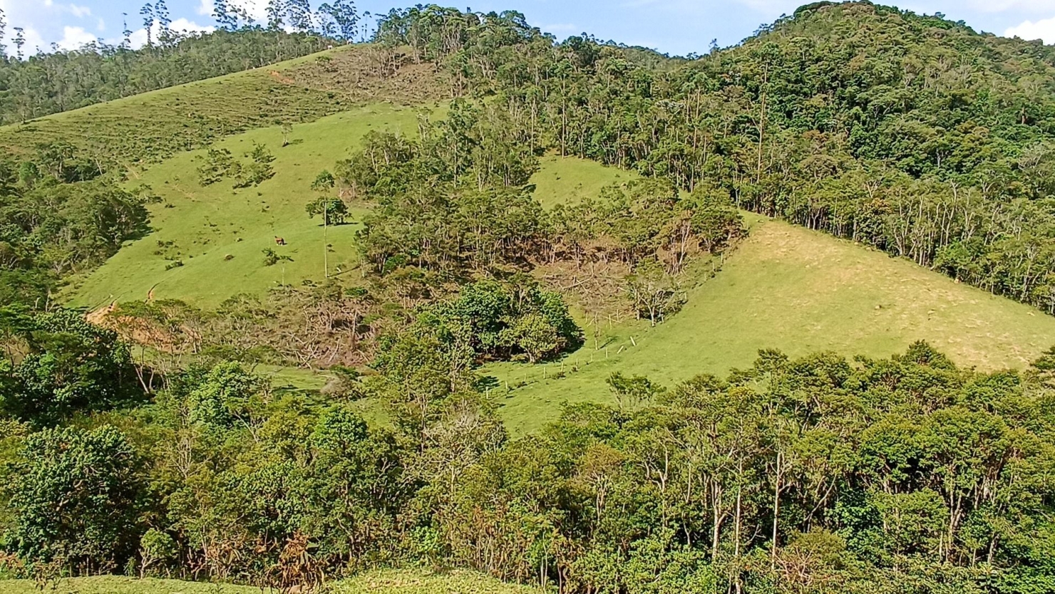 Sítio, 2 quartos, 350 m² - Foto 15