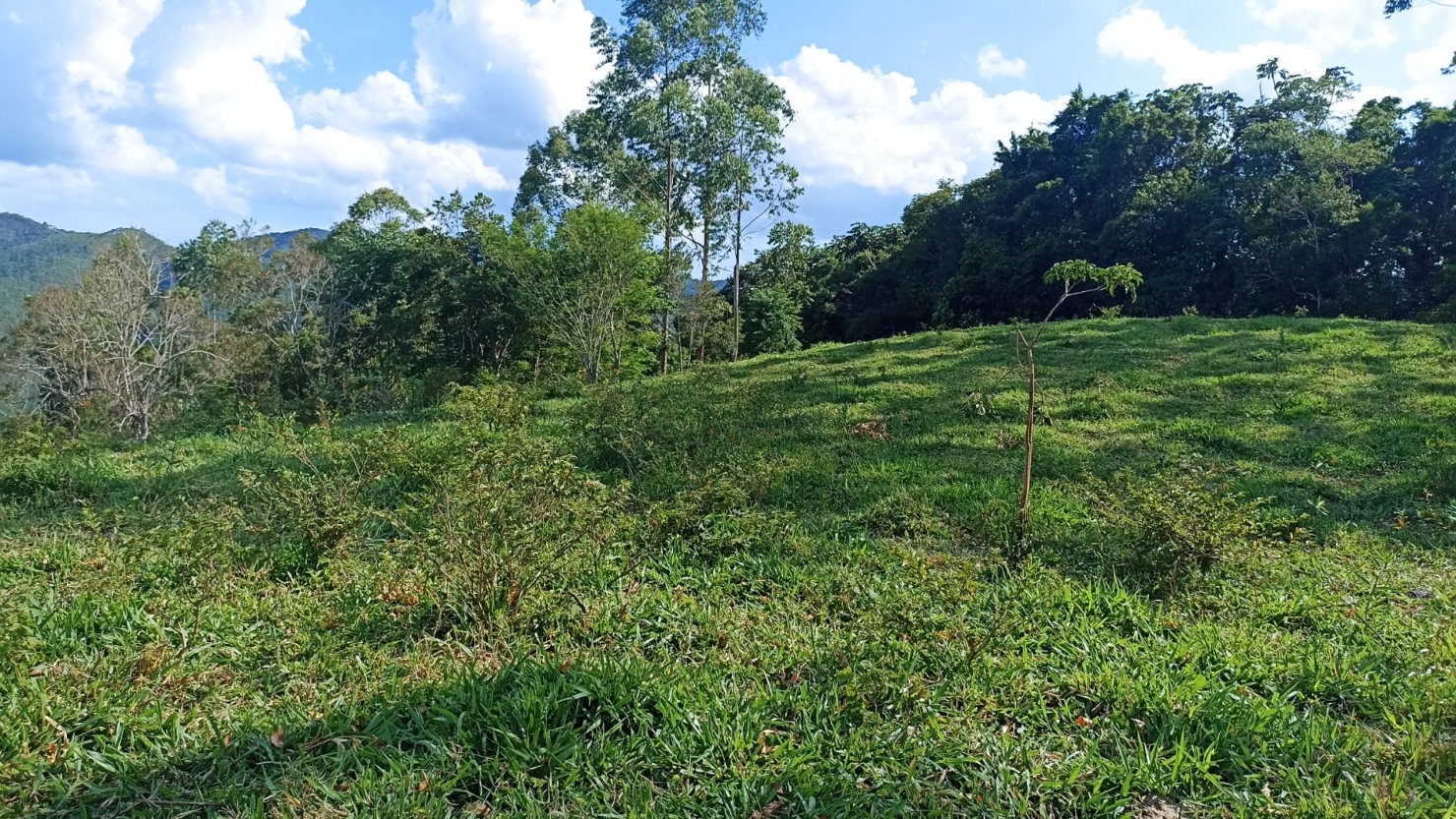 Sítio, 2 quartos, 350 m² - Foto 20