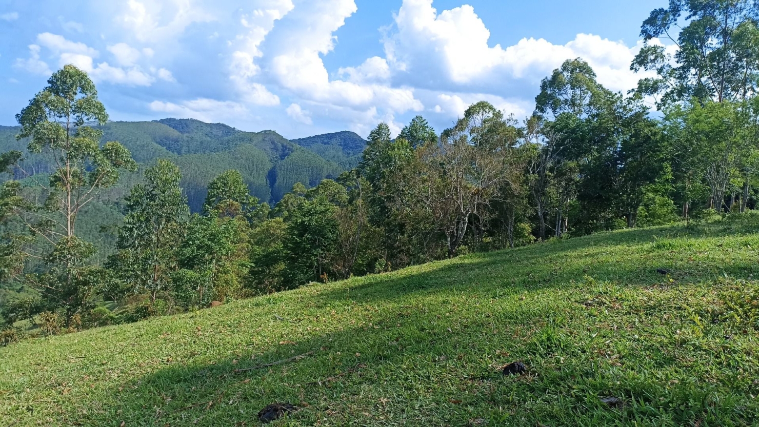 Sítio, 2 quartos, 350 m² - Foto 23