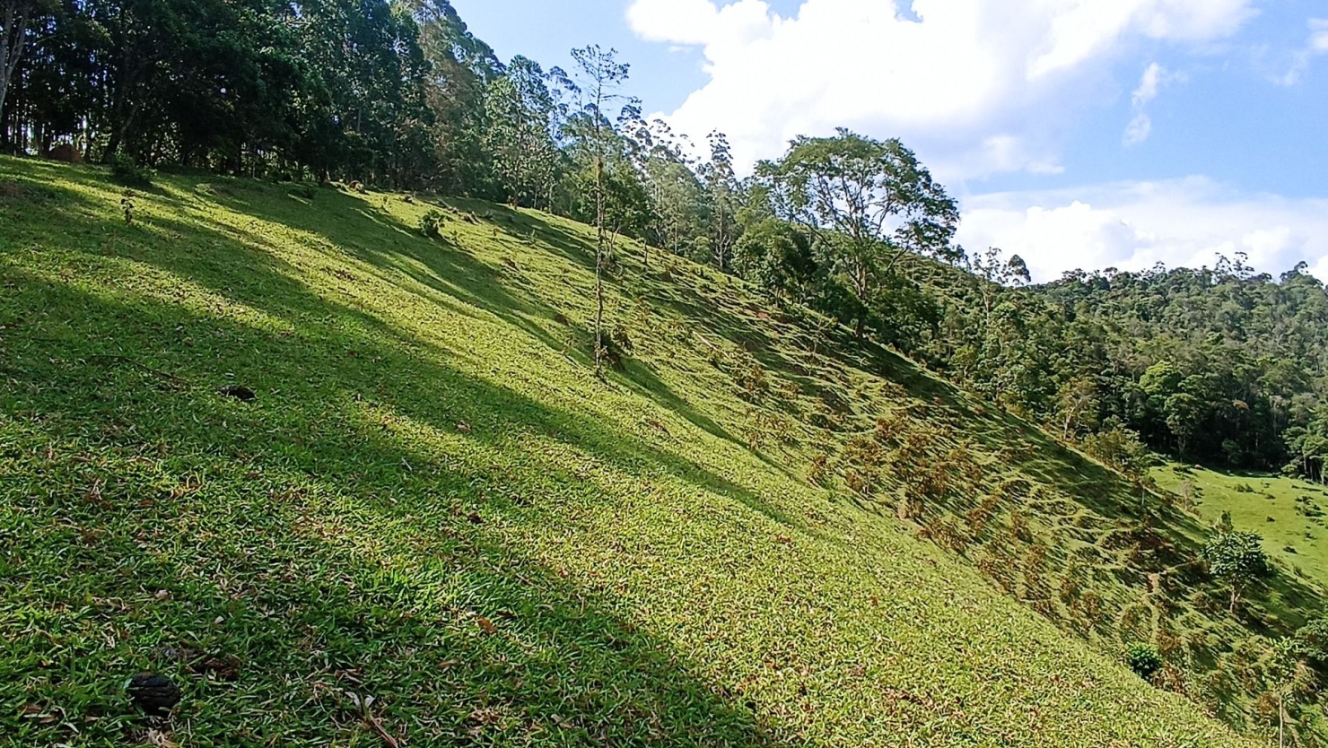 Sítio, 2 quartos, 350 m² - Foto 24