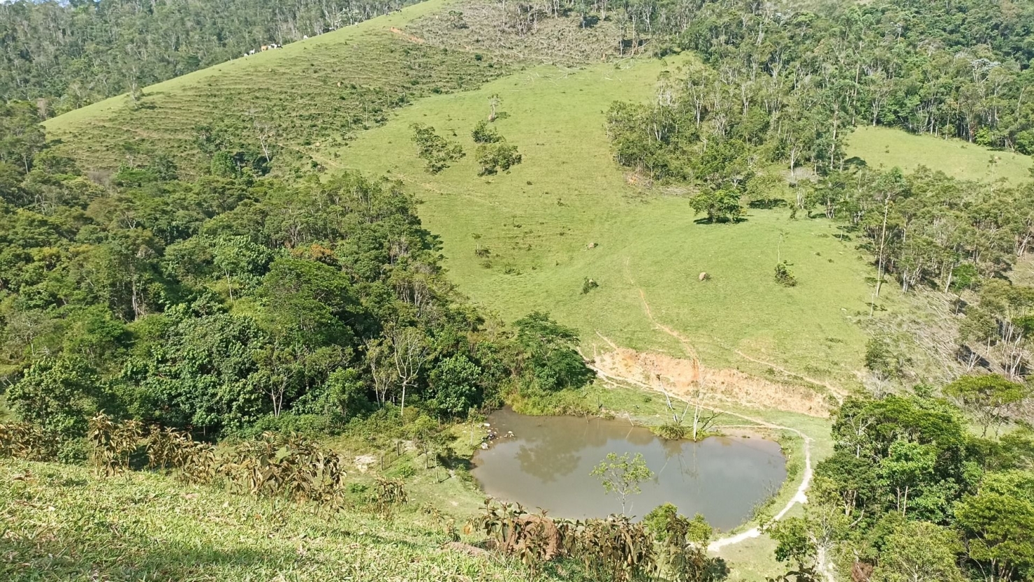 Sítio, 2 quartos, 350 m² - Foto 25