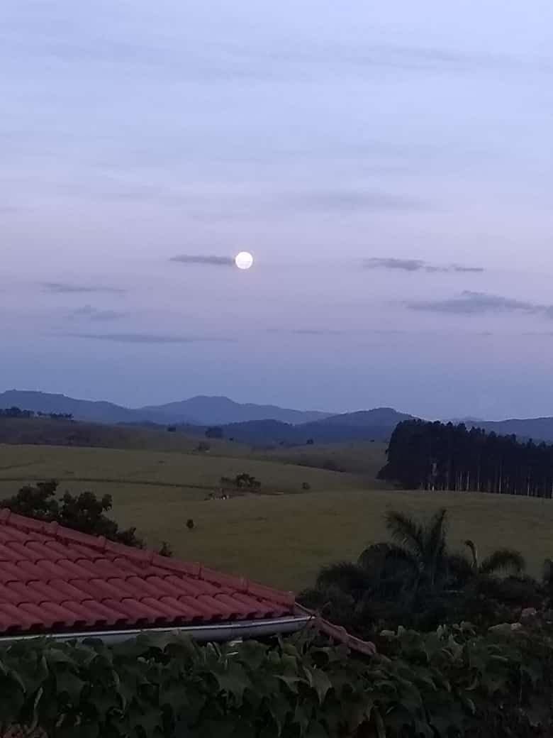 Terreno, 2000 m² - Foto 4